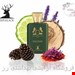 ادکلن مردانه آلتامیر اسپیگان مدل هالتان 100 میل 