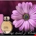 عطر ادکلن زنانه شنل چنس جانوین – جکوینز چری (Johnwin – Jackwins Chance Chanel)