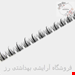  مژه ریسه‌ای فیشر کینگ Fisher King  