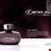 ادکلن لکسوس ابسولوت (LEXUS Absolute) برند رودیر (RODIER