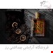 ادکلن مردانه آلتامیراسپیگان مدل تور100میل