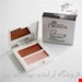 رژگونه هایلایتر آلستر