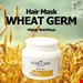 ماسک موی استارلیدی مدل Wheat Germ حجم 500 میلی لیتر